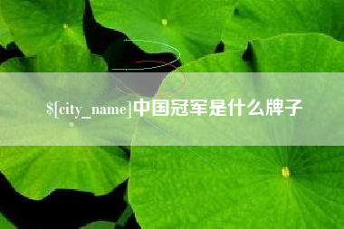武义县中国冠军是什么牌子