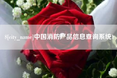 武义县中国消防产品信息查询系统1