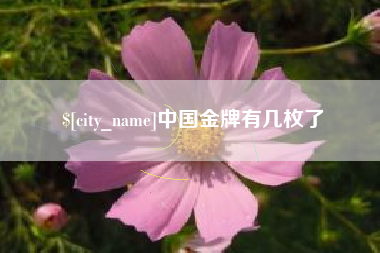 武义县中国金牌有几枚了