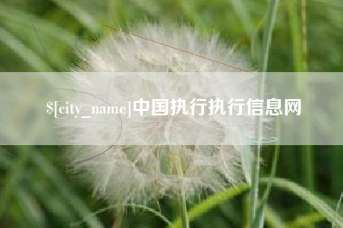 武义县中国执行执行信息网