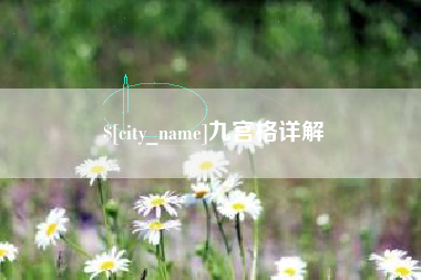 武义县九宫格详解
