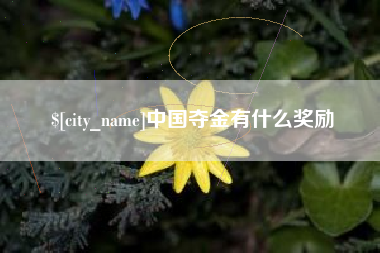 武义县中国夺金有什么奖励