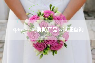 武义县消防产品ccc认证查询