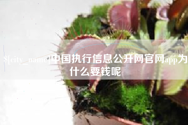 武义县中国执行信息公开网官网app为什么要钱呢