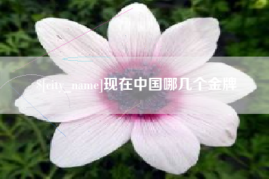 武义县现在中国哪几个金牌
