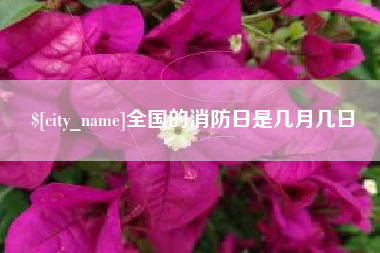 武义县全国的消防日是几月几日