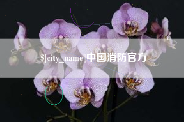 武义县中国消防官方