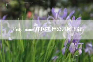 武义县中国执行公开网下载
