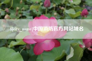 武义县中国消防官方网站域名