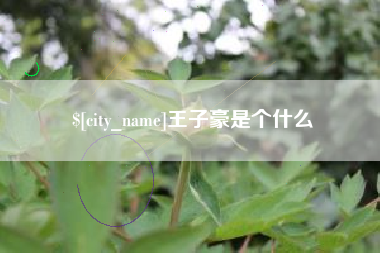 武义县王子豪是个什么