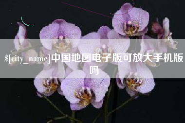 武义县中国地图电子版可放大手机版吗