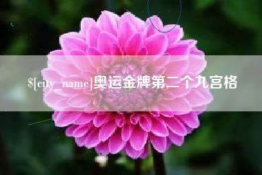 武义县奥运金牌第二个九宫格