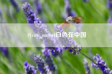 武义县白色在中国