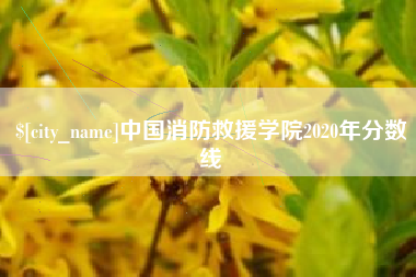 武义县中国消防救援学院2020年分数线