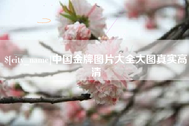 武义县中国金牌图片大全大图真实高清