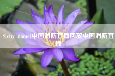 武义县中国消防直播回放中国消防直播