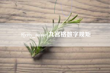 武义县九宫格数字规矩