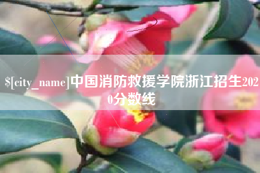 武义县中国消防救援学院浙江招生2020分数线