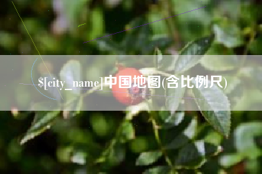 武义县中国地图(含比例尺)