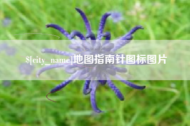 武义县地图指南针图标图片