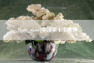 武义县中国第十个金牌