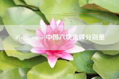 武义县中国六块金牌分别是