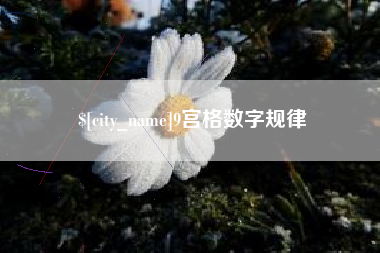 武义县9宫格数字规律