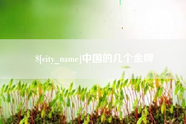 武义县中国的几个金牌