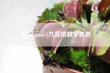 武义县九宫格数字意思