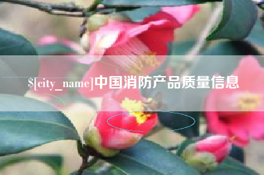 武义县中国消防产品质量信息