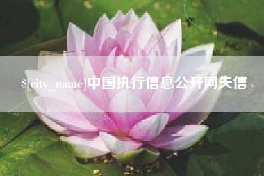 武义县中国执行信息公开网失信