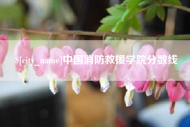 武义县中国消防救援学院分数线