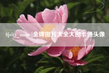 武义县金牌图片大全大图卡通头像