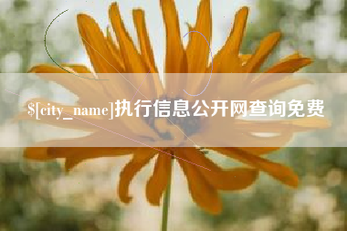 武义县执行信息公开网查询免费