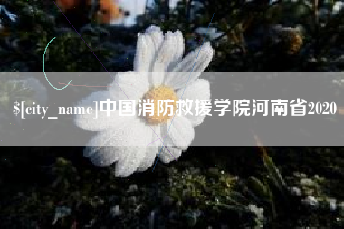 武义县中国消防救援学院河南省2020